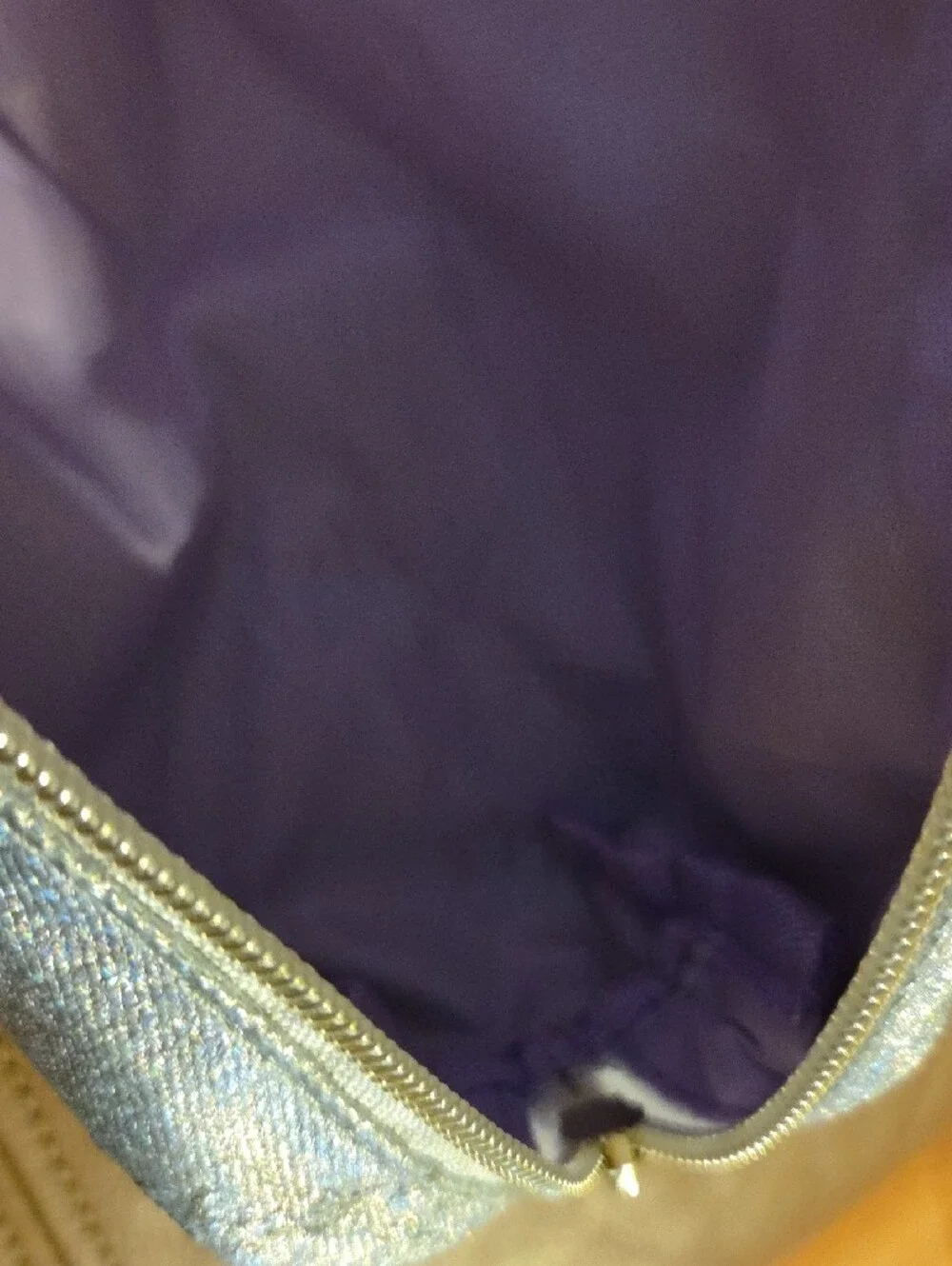 Silver Sparkle With Purple Liner Cosmetic Pouch - Women's Makeup Case